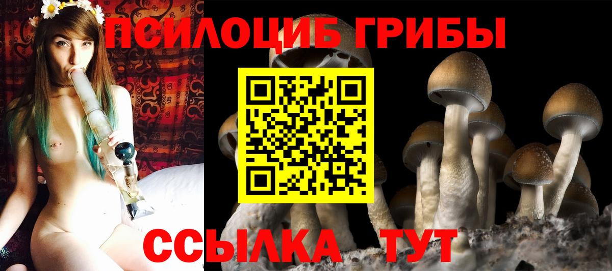 Кизляр  Псилоцибиновые грибы ЛСД  как найти   Вход с VPN 